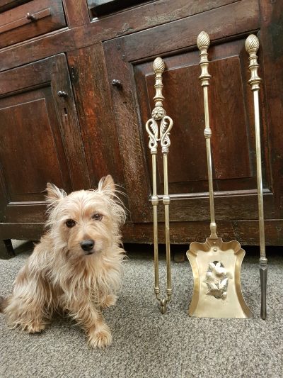 Antique Victorian Set of Brass Fire Irons