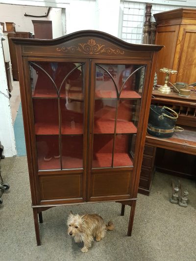 Antique Edwardian Inlaid Display Cabinet