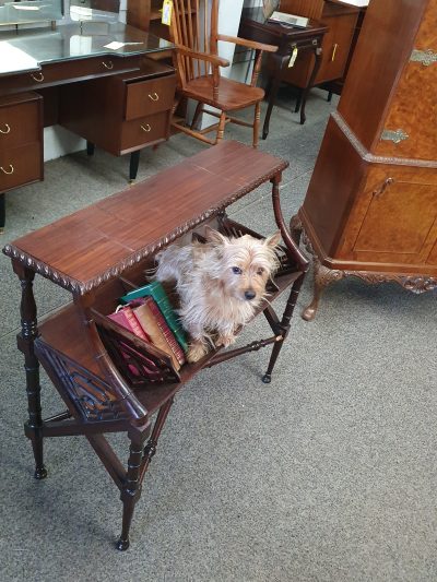 Antique Victorian Style Book Trough Bookcase