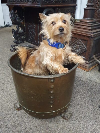 Antique Fireplace Log Bin