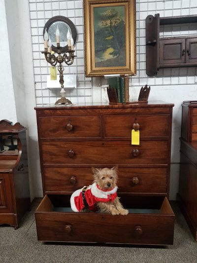 Antique Victorian Chest of Drawers