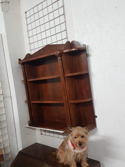 Antique Hanging Shelves Bookcase