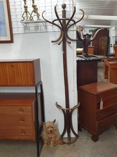 Good Antique 1930's Bentwood Hall Stand