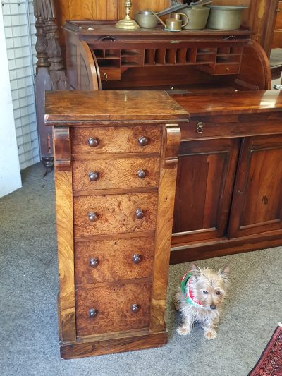 Antique Victorian Walnut Wellington Chest