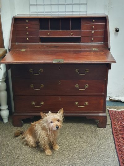 Antique Georgian Bureau Writing Desk