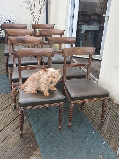 Antique Victorian Set of 8 Irish Dining Chairs