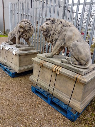 Large Pair of Garden Lion's