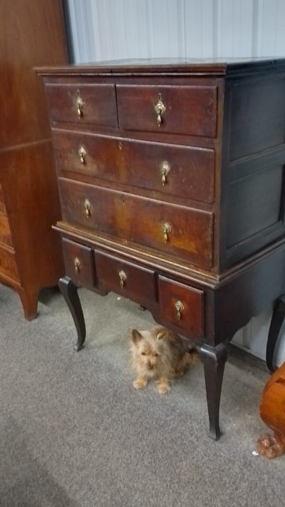 Antique Oak Chest on Stand