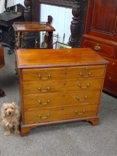 Small Antique Georgian Chest of Drawers