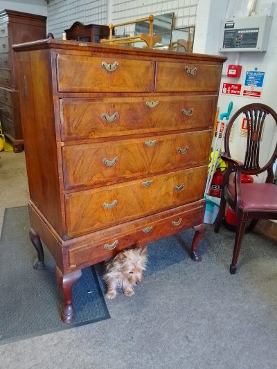 Antique Walnut Queen Anne Chest on Stand