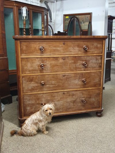 Large Antique 19thC Victorian Chest of Drawers