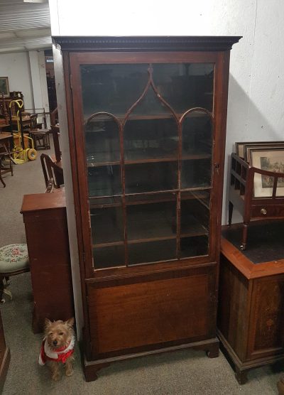 Antique Edwardian Cabinet Bookcase