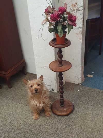 Small Barley Twist Plant Stand