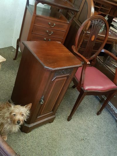 Antique Edwardian Bedside Cabinet