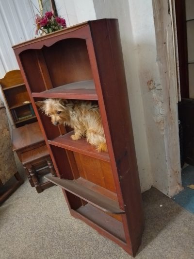 Antique Boat Bookcase