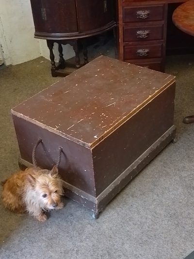 Antique Pine Box Chest Coffee Table