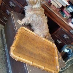 Antique Victorian Bamboo Tray Antique Antique Trays