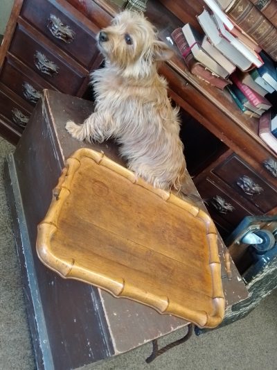 Antique Victorian Bamboo Tray