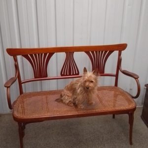 Good Bentwood Chair Back Settee 1stDibs Antique Chairs