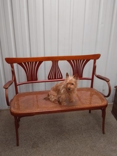 Good Bentwood Chair Back Settee