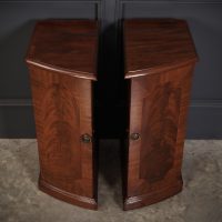 Pair Of Regency Mahogany Pedestal Cabinets