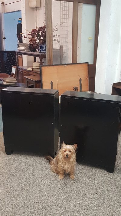 Good Antique Small Pair of Art Deco Ebonised Bookcases - Image 3