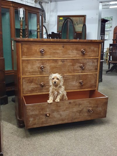 Large Antique 19thC Victorian Chest of Drawers - Image 4