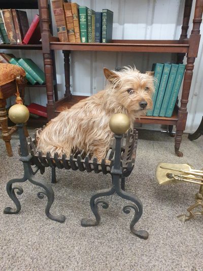 Small Antique Fire Grate & Fire Dogs - Image 9