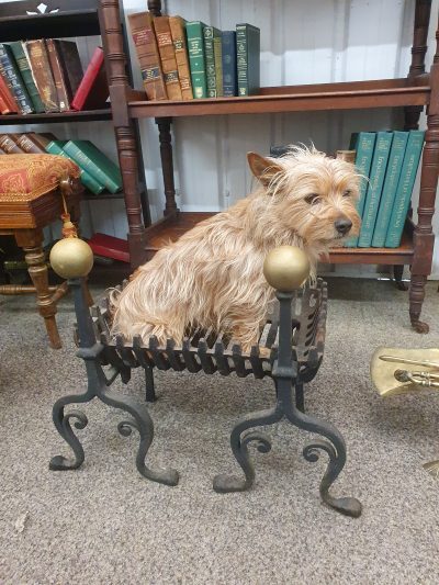 Small Antique Fire Grate & Fire Dogs - Image 5