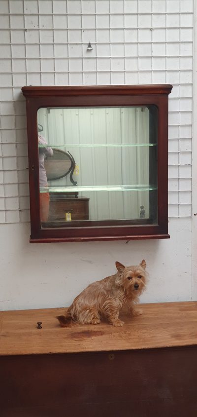 Antique Victorian Hanging Wall Cabinet - Image 5