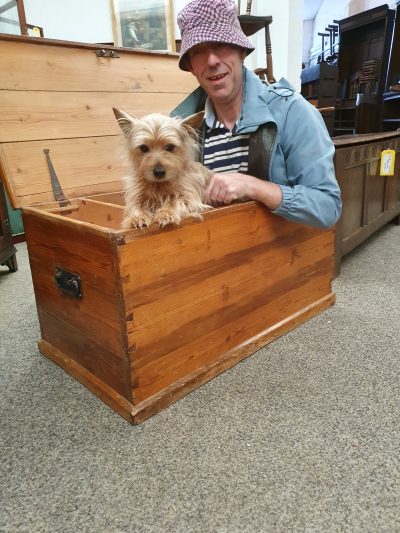 Antique Edwardian Pine Box Chest - Image 7