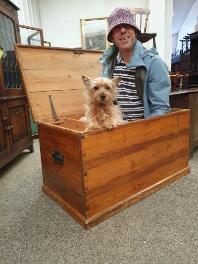 Antique Edwardian Pine Box Chest - Image 2