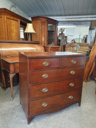 Antique Georgian Oak Chest of Drawers - Image 6