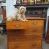 Good Antique Walnut Chest of Drawers - Image 4