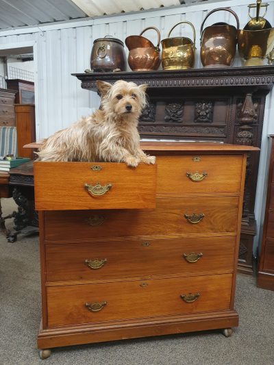 Good Antique Walnut Chest of Drawers - Image 4