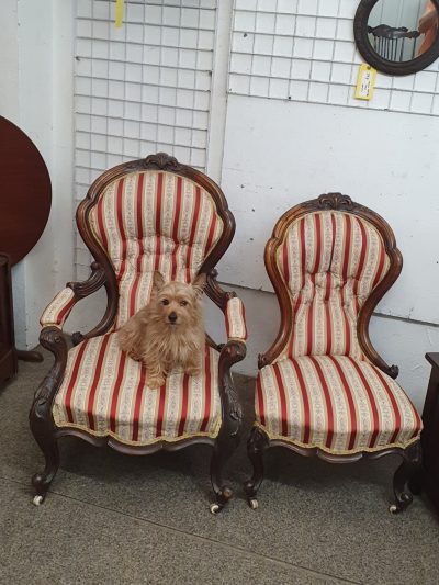 Good Pair of Victorian Chairs - Image 7