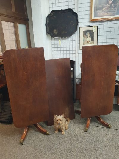 Good Antique Regency Dining Table Seats 8 - Image 2