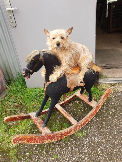 Antique Victorian Rocking Horse - Image 2