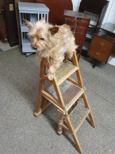 Antique Edwardian Metamorphic Step Chair - Image 2