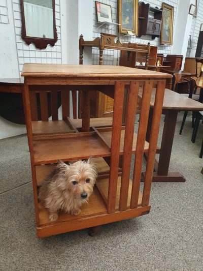 Antique Edwardian Oak Revolving Bookcase - Image 5