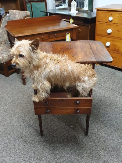 Antique Georgian Work Table - Image 5