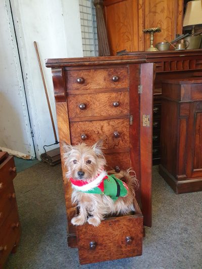 Antique Victorian Walnut Wellington Chest - Image 5