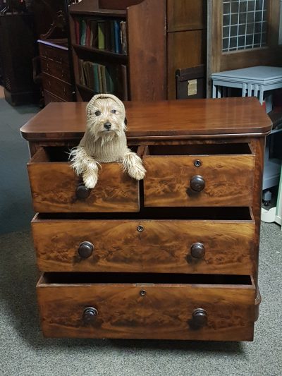 Small Antique Victorian Chest of Drawers - Image 2