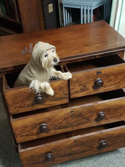 Small Antique Victorian Chest of Drawers - Image 5