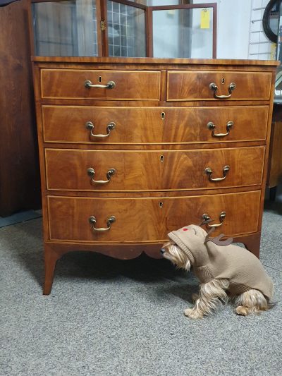 Good Antique Bow Front Chest of Drawers - Image 10