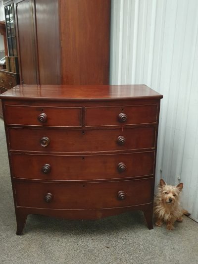 Antique Victorian Bow Front Chest - Image 4