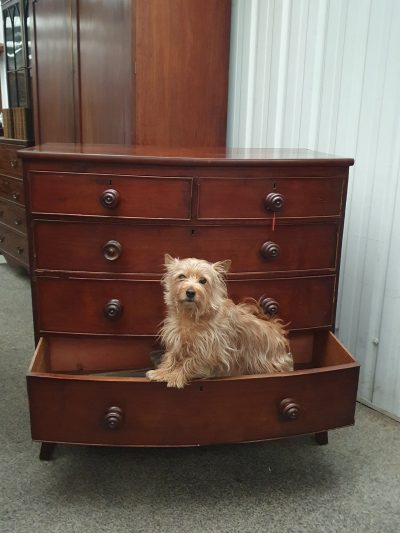 Antique Victorian Bow Front Chest - Image 6