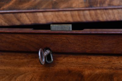 Regency Mahogany Pedestal Sideboard SAI3679 - Image 15