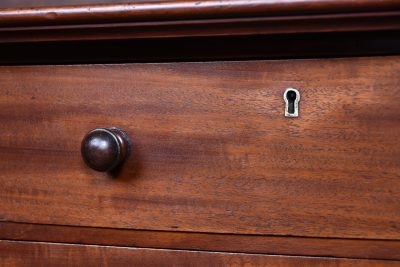 Victorian Mahogany Wellington Chest SAI3689 - Image 5