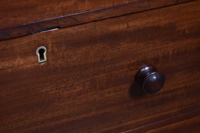 Victorian Mahogany Wellington Chest SAI3689 - Image 6